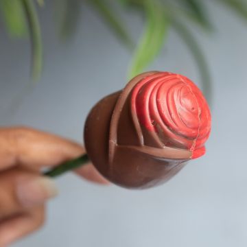 Chocolate Rose