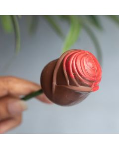 Chocolate Rose